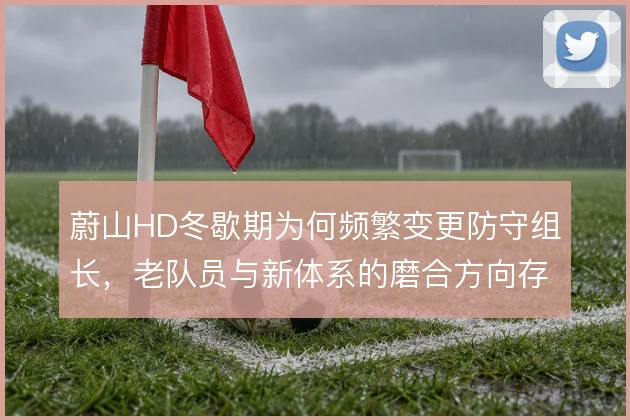 蔚山HD冬歇期为何频繁变更防守组长，老队员与新体系的磨合方向存疑